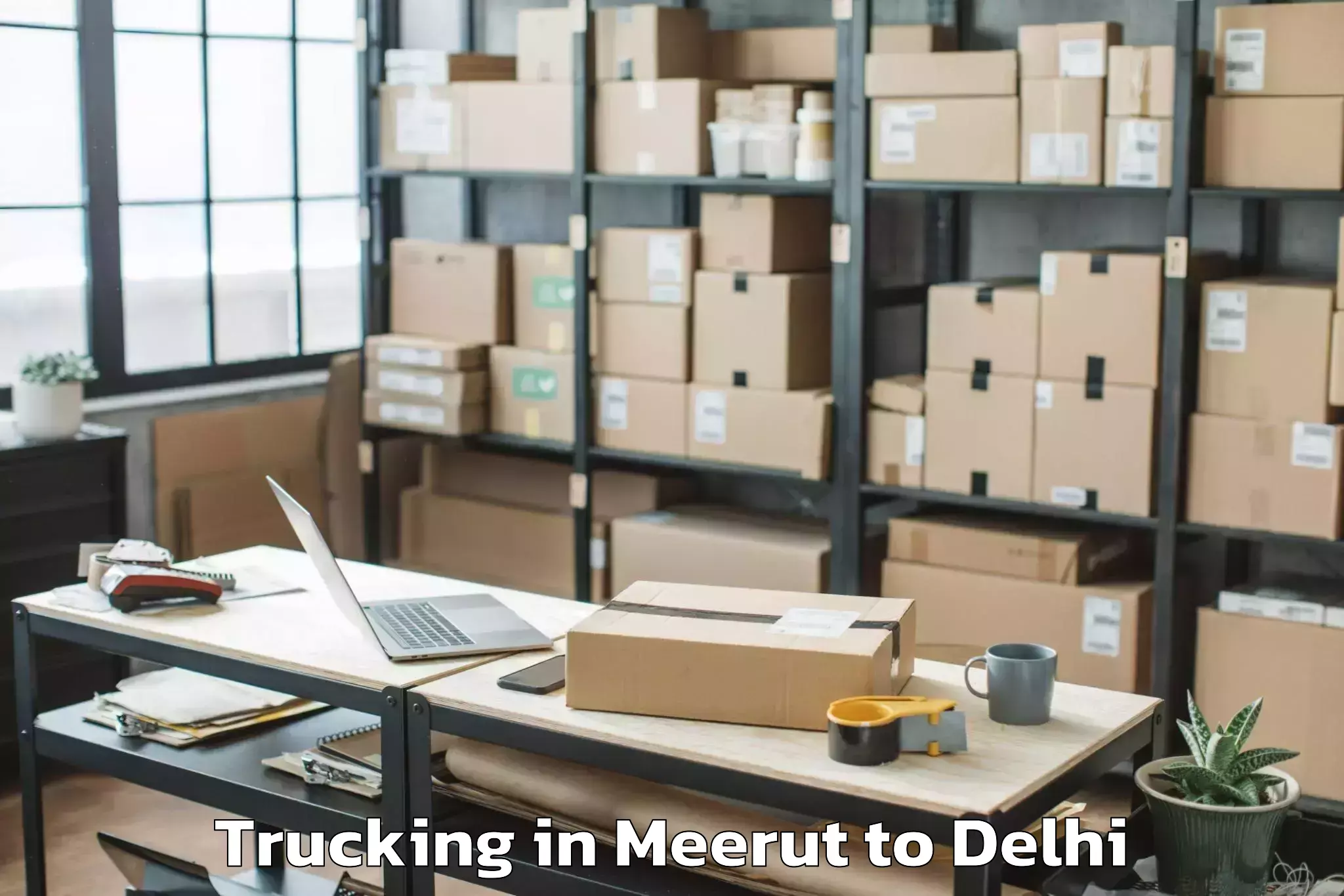 Meerut to Naraina Industrial Estate Trucking